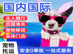 恩施许家坪空运国际宠物托运 【国